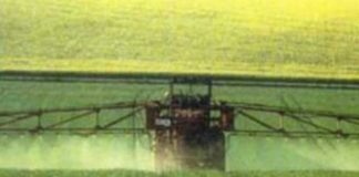 Agriculture